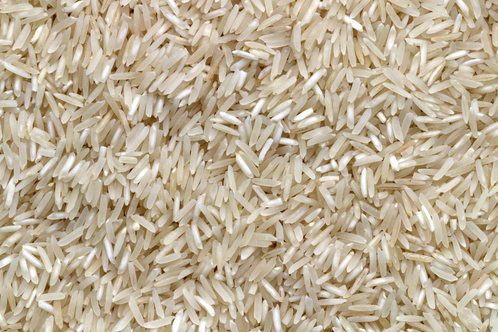 Basmati rice grains